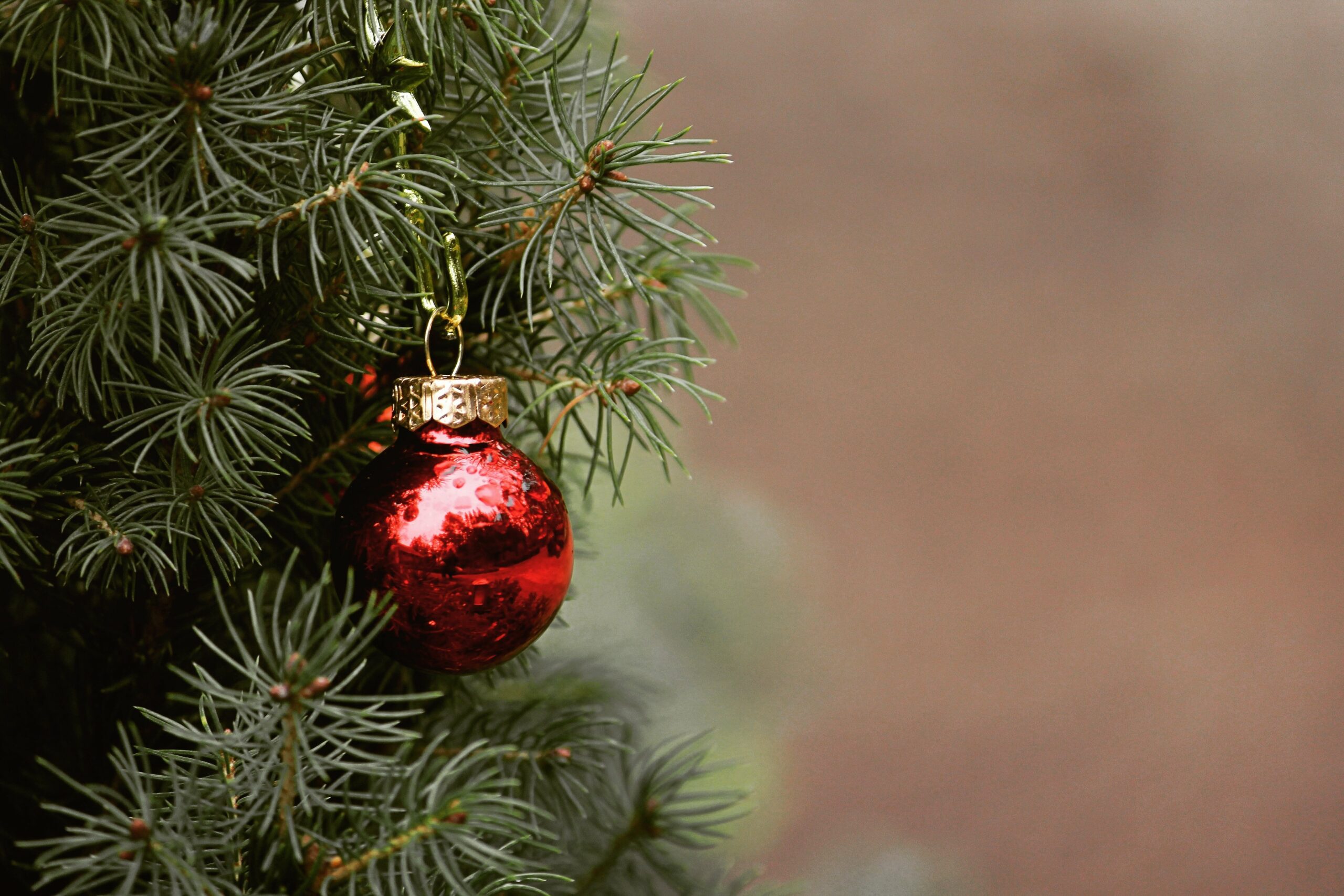 sampaolesi blog natale 1