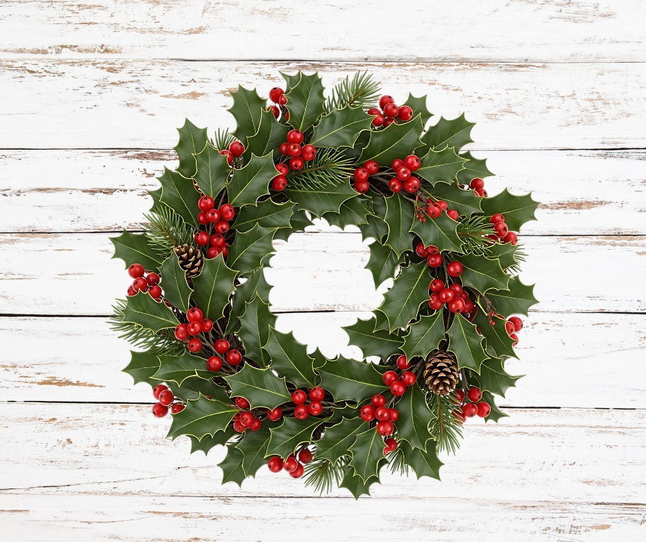 decorazioni-agrifoglio-vivaio-sampaolesi